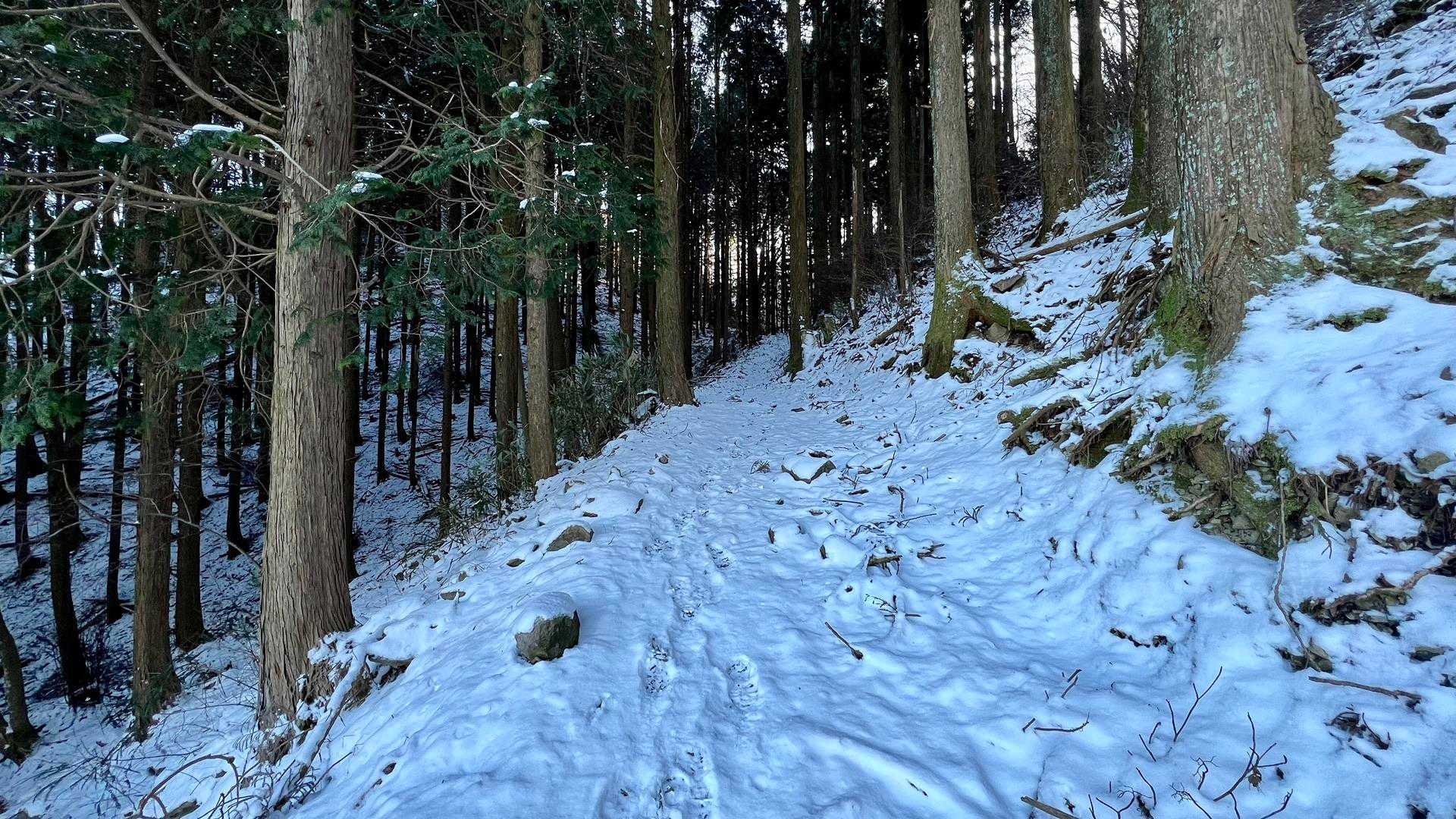 まぁまぁ積もっているなぁ。
