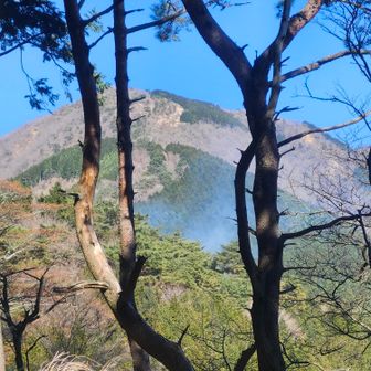 塔ノ岳・丹沢山・蛭ヶ岳 駒止の上から煙が見えたのでここで引き返し
