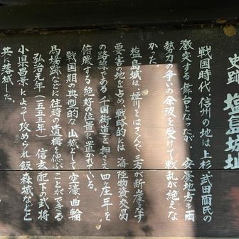 山県昌景に攻められて落城したし、日光寺も焼き討ちされたらしい。
山県ってことは、嫡男のクーデターが失敗した後やね。
飯富昌景→山県昌景。