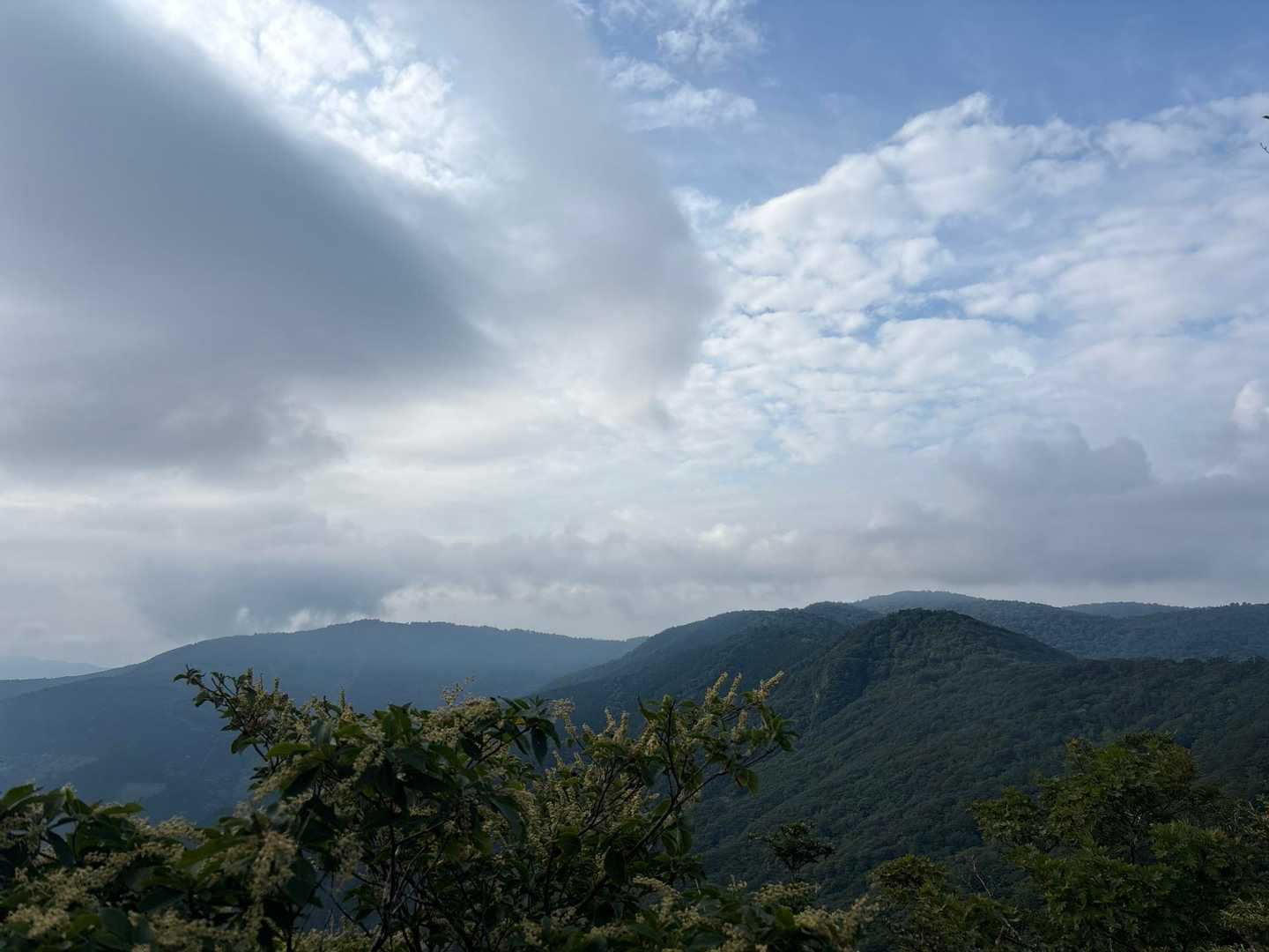 やっと眺望🥹
左側に時雨岳🗻
この時点では、後から行くかまだ悩み中💭