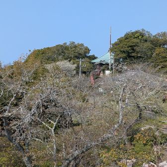 武山展望台から