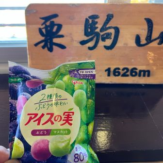 アイスの実を食べてのんびり。バス停には急がない。