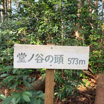 じゃあ次いでに
近くのピークハントしたら
下山して次の目的地へ⛰️