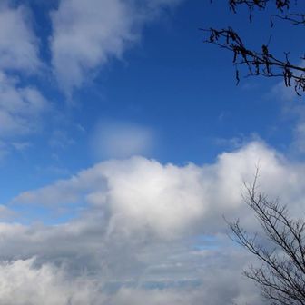 午後から晴れ予報が当たりました。終わりよければすべてよし。
今日も幸せな1日をありがとうございました。