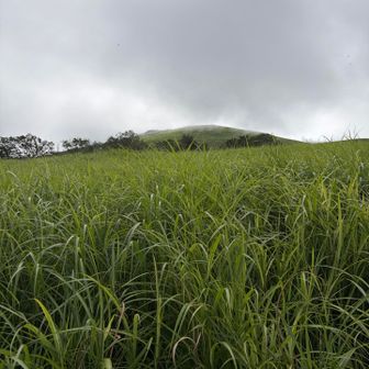 明神山に向かいます