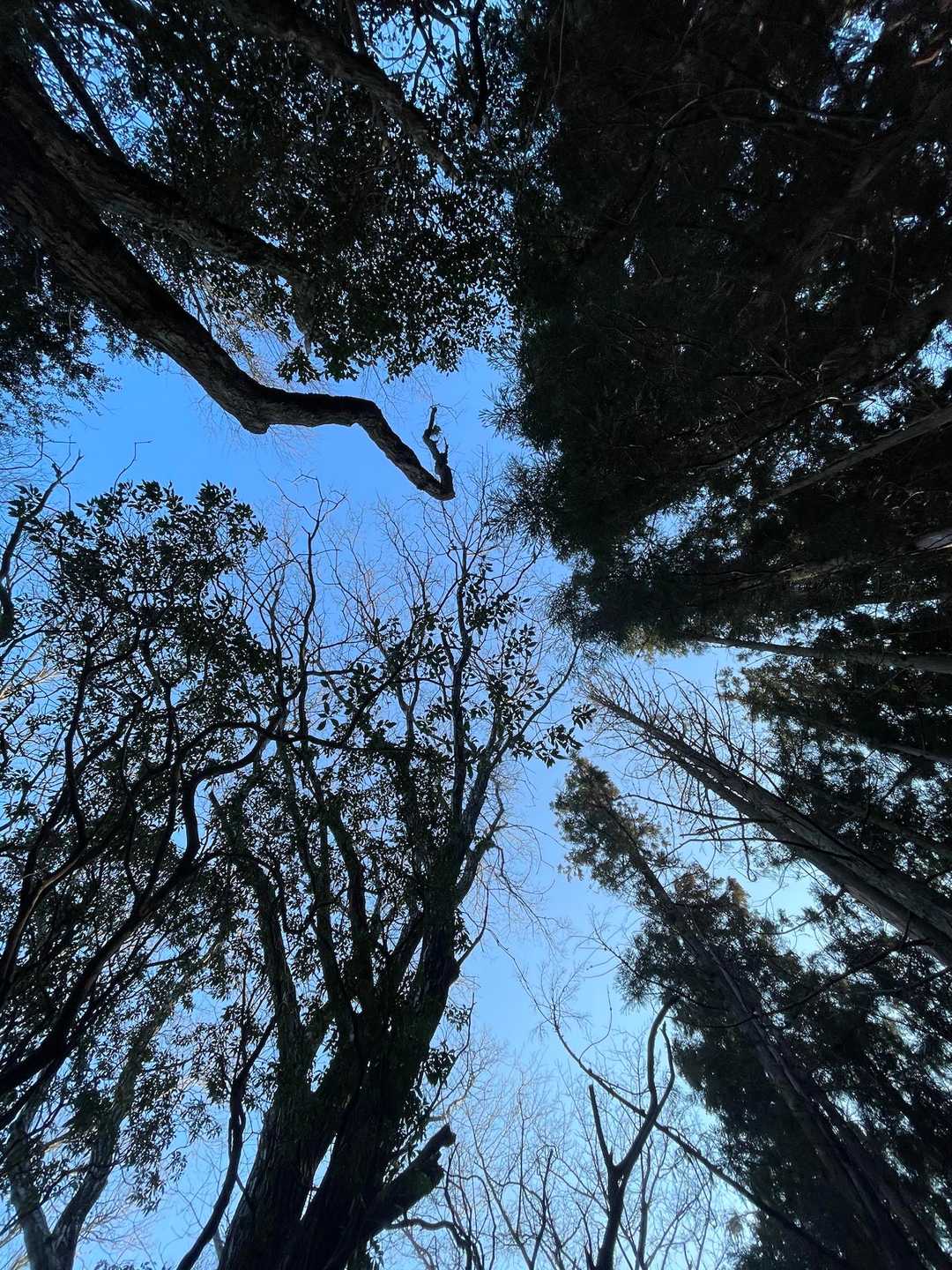 眺望ないので空を🤣
