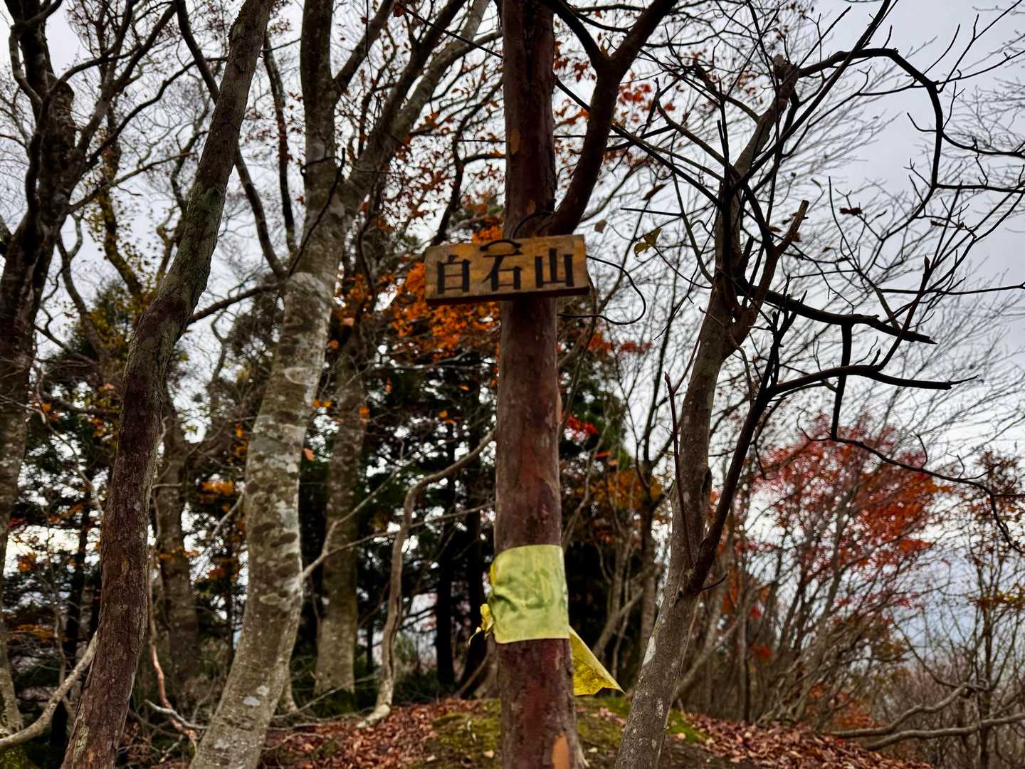 シチグレ峠-百里ヶ岳-根来坂峠 周回コースの写真