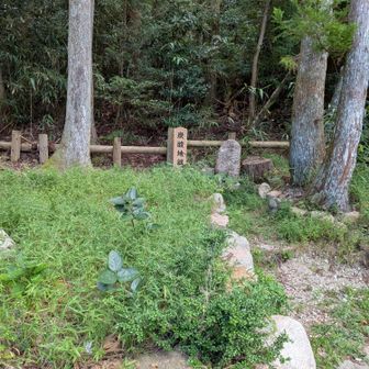 登山口へ💪
虫地獄写すと、採れんかもなので炭酸地獄📸