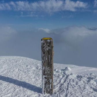 そして、トマの耳に登頂です。
