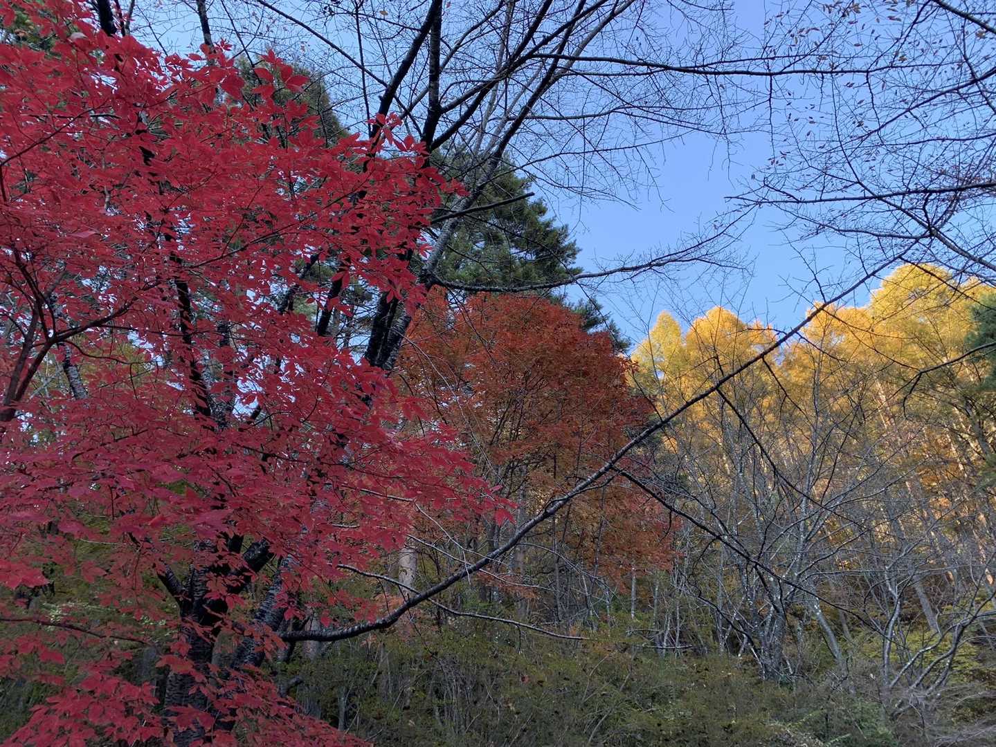 三ッ峠山登山口-三ッ峠山-三つ峠駅 縦走コースの写真