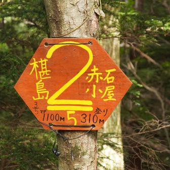 こういった表示があるのもありがたい。（登りの時は先が長いと思うのだろうけど）