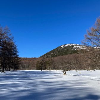 目指す湯ノ丸山