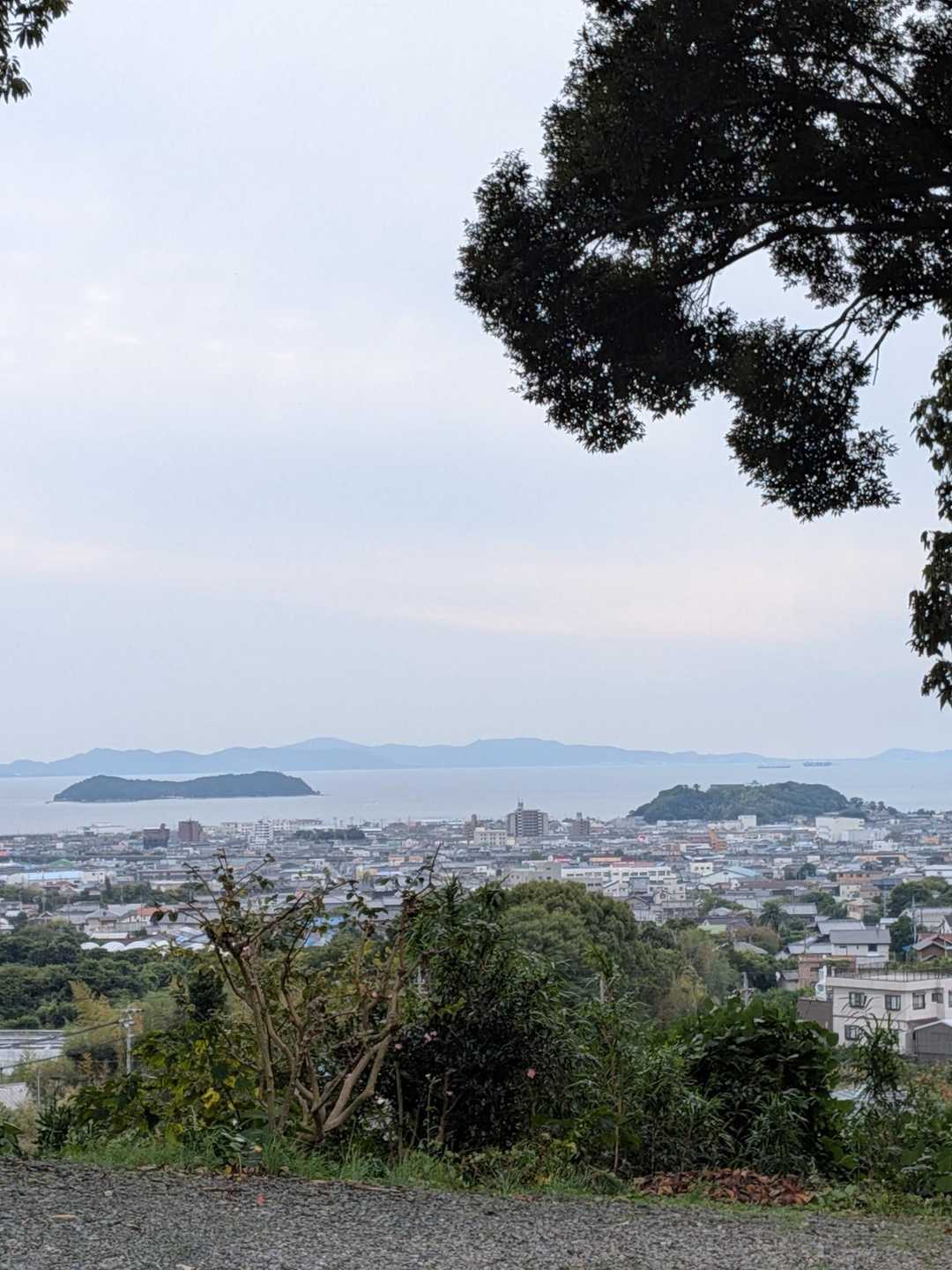 妙善院からも三河湾がよく見えてた