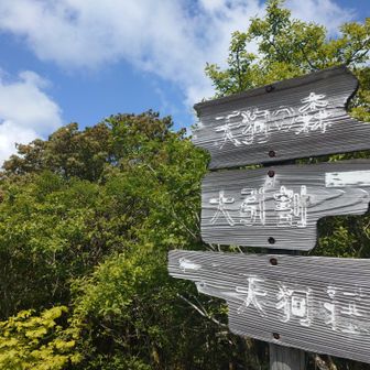 到着
まだ先まで行けるけど用事もあるのでまた次回