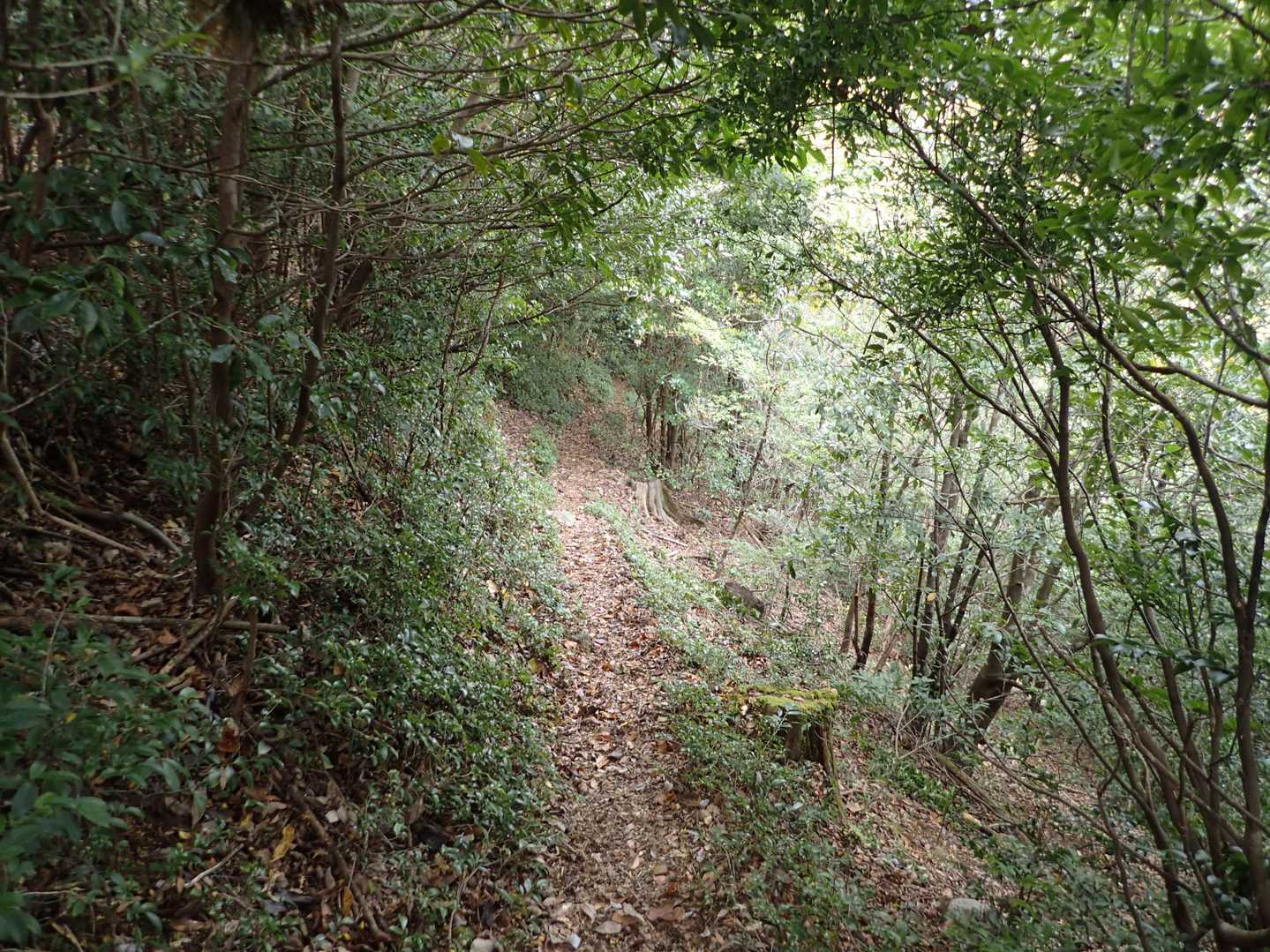斜度が落ち着いてきた