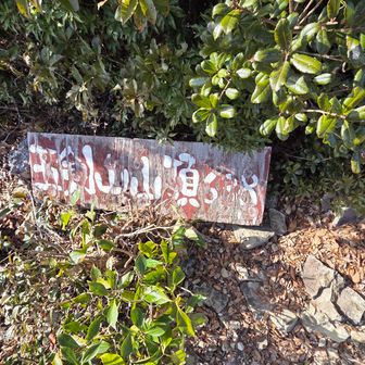 手で持てるヤツですね