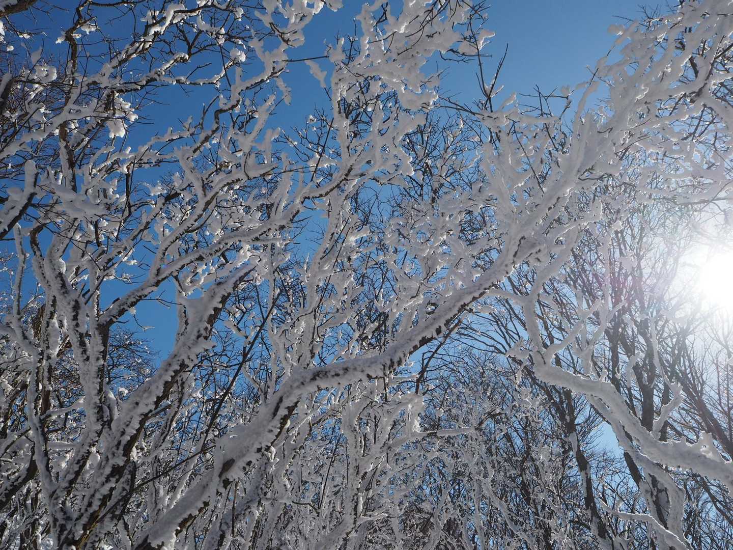 雪の宿かりんとうみたい
