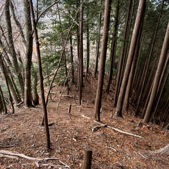こちらも気になる