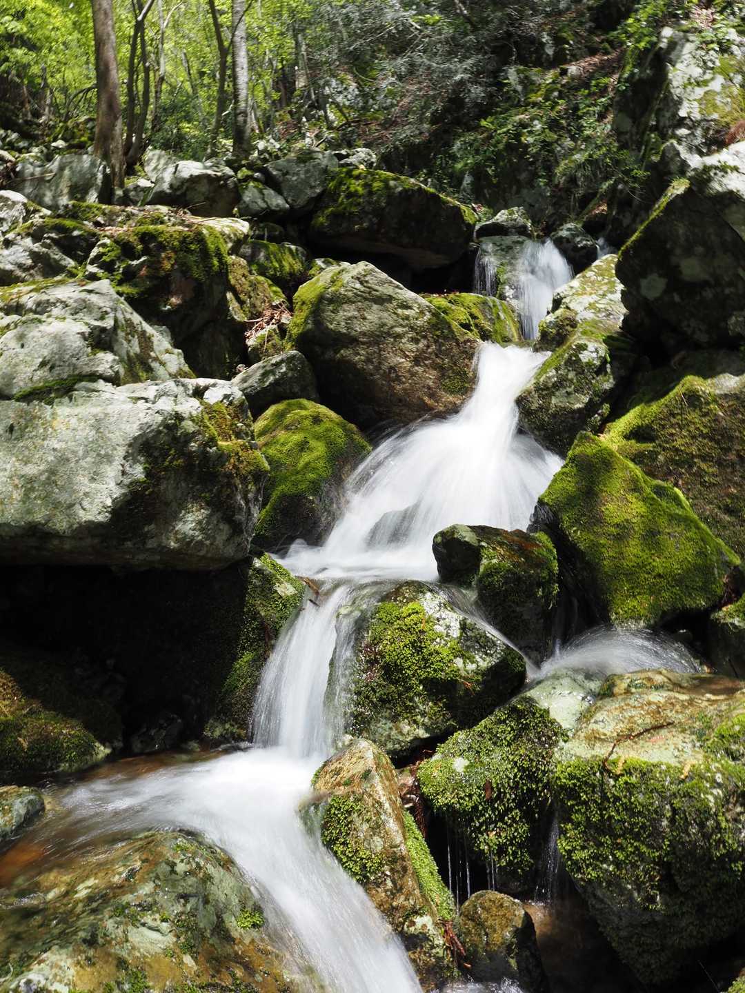 船木山登山口-船木山-後山 往復コースの写真