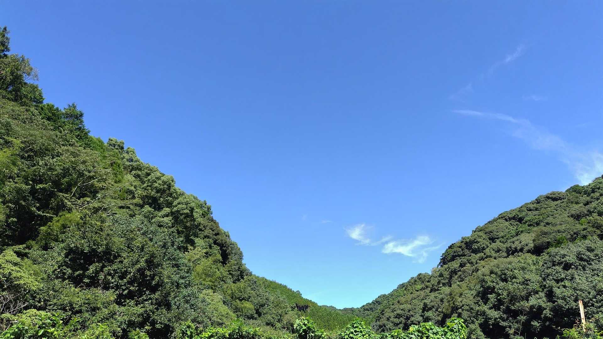 涼しい