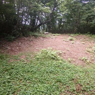山頂の広場、視界はなし
ここでおやつ休憩してたら虫が集まって来た〜　慌てて退散🏃
