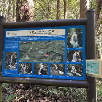 楽しいです😆