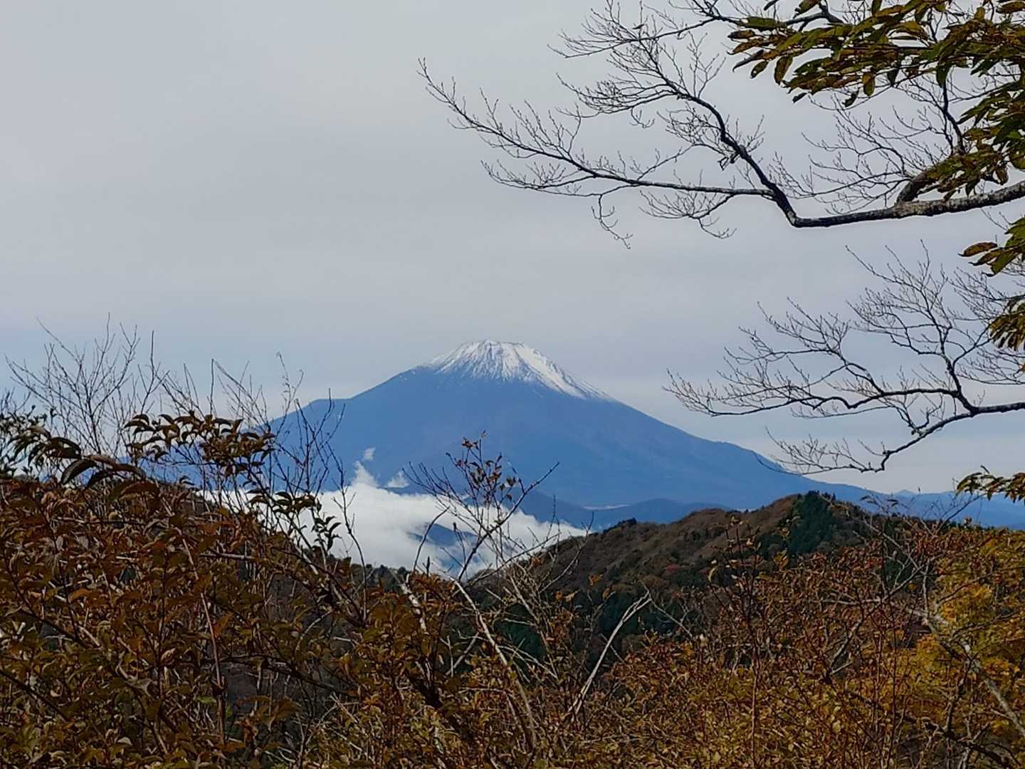はいど～ん。