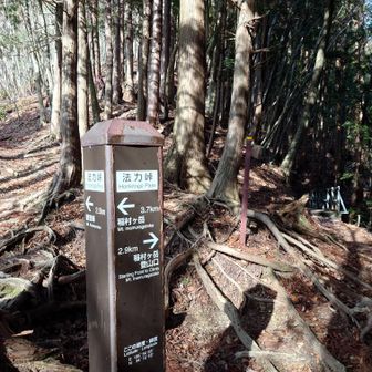 ダッシュ 🏃ダッシュ🏃