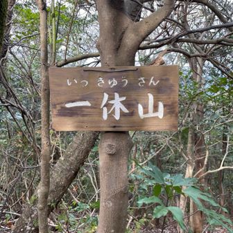 一休山ピーク
このまま進んで周回したかったが、地図をよく見ると、通行止めのマークが。
無理をせず、ピストンします