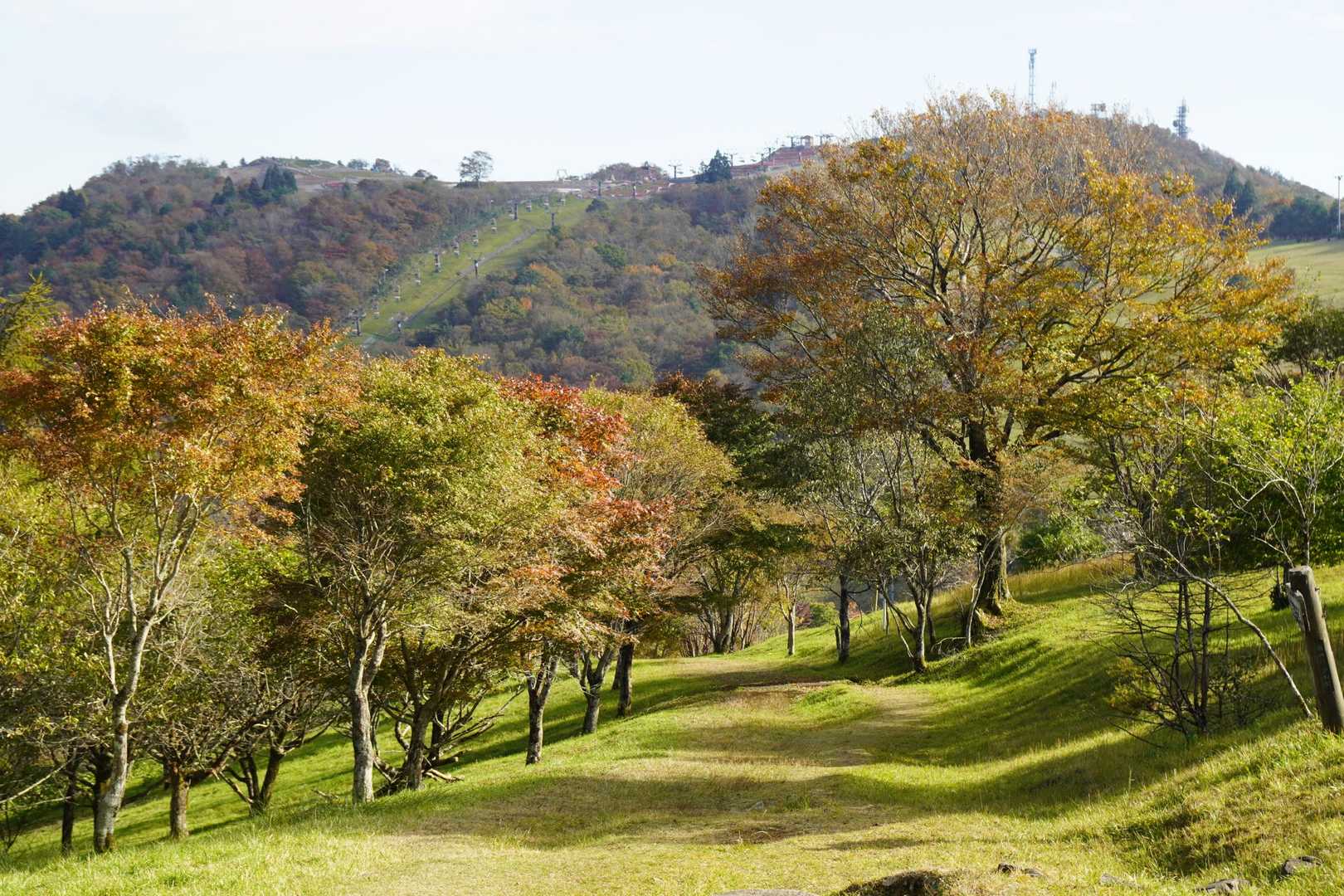 晴れ間も出てきて、紅葉がきれいです。