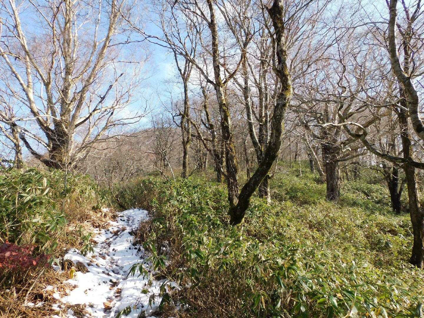 雪が残っていました