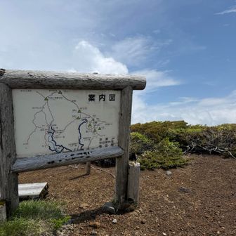 天気は上々