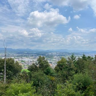 展望台からの景色