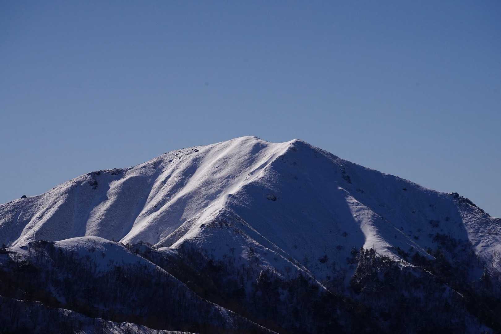 丸笹山 往復コースの写真