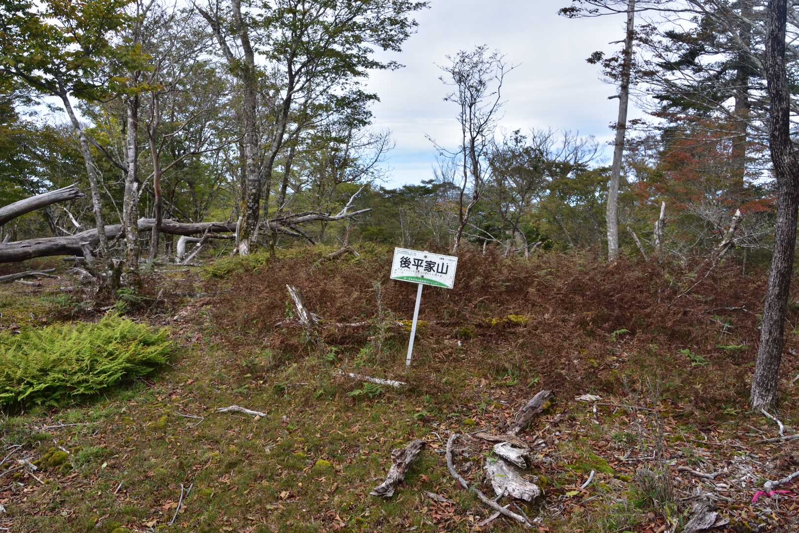 後平家山山頂
霧立越・向霧立越への分岐にあたります