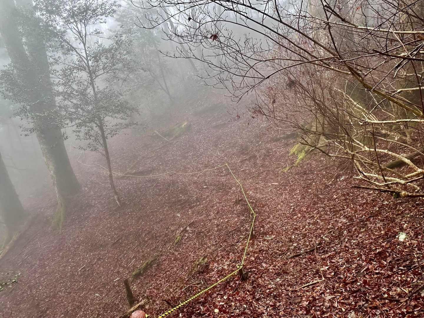 このロープと踏み跡は、コースアウトでした😅