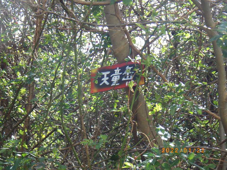 ありがとう！天童岳山頂プレートさん