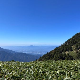 萬岳荘までは、林道をてくてく歩く。萬岳荘からはいきなり急登。
さっき飲んだノンアルがお腹にくる😢