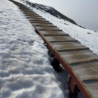 木道は歩きません
