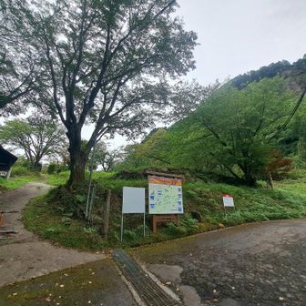 降りてきた～
てか、最後は登ってきた😅