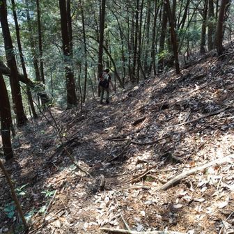 へっぴりごし🤣滑るところは怖いのよね😱