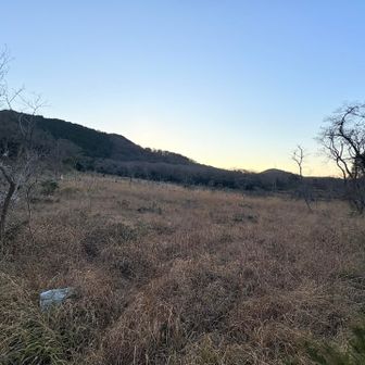 葦毛湿原
この時期は特に見るものないかな