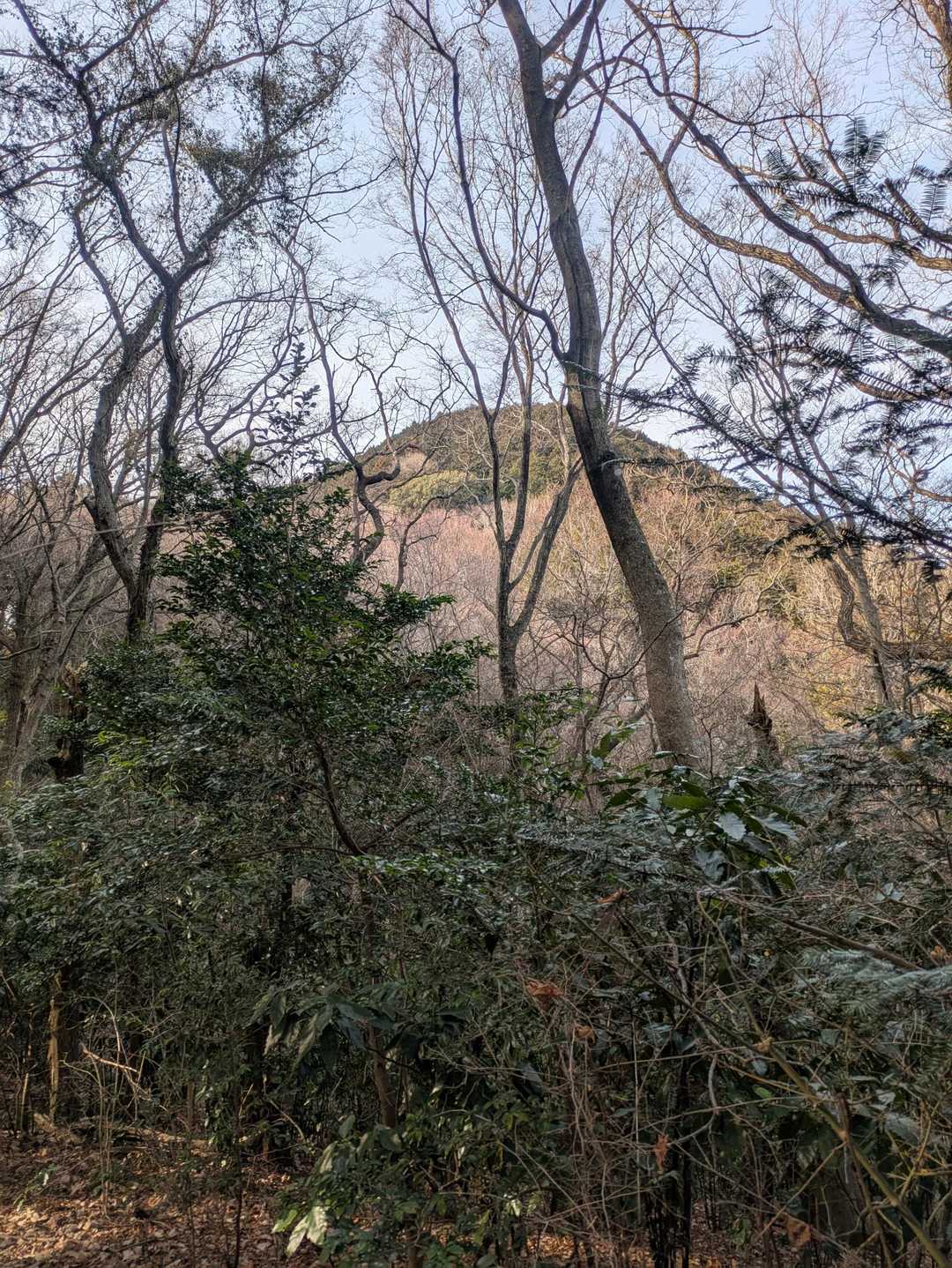 あそこまで登るの？急すぎる😰