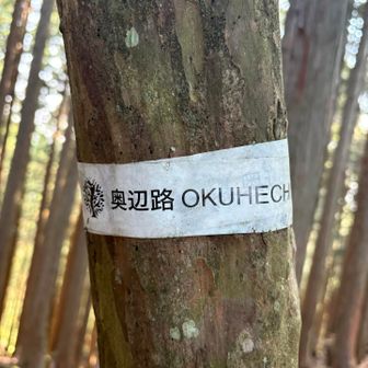 え〜っ
奥辺路ルートなんや‼️
