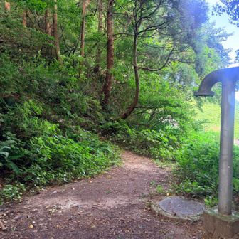 スカイライン入口近く
右側の道路通過している車からは不審者に見えるかな？
