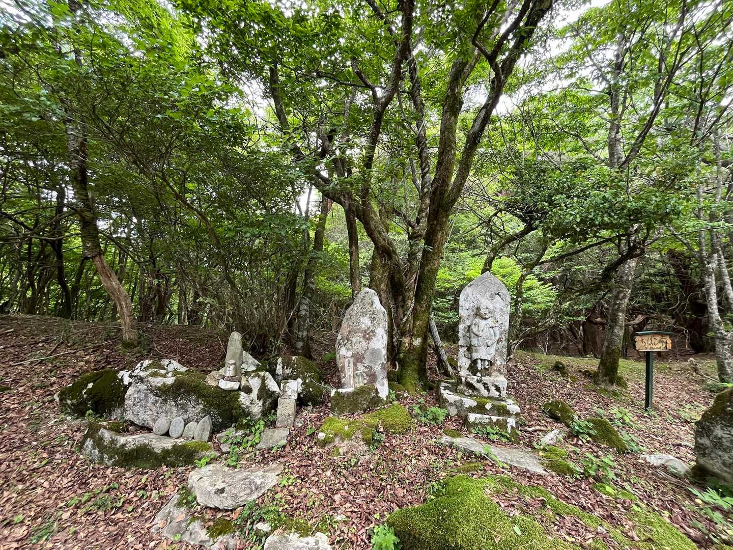 旭ヶ丸-高鉾山-高鉾山 周回コースの写真