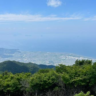 青空が広がっています