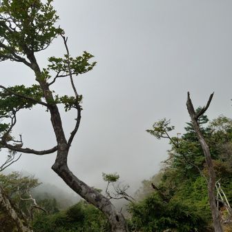 男体山方面は見れず・・・無念。
