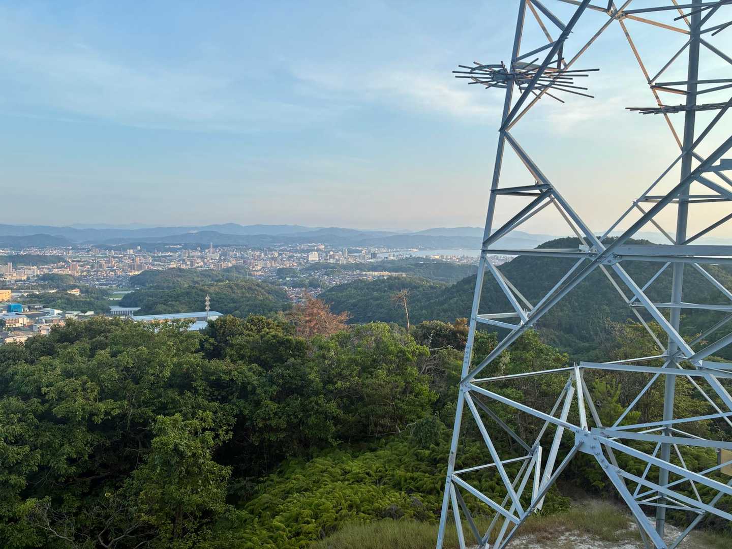 真山 往復コースの写真