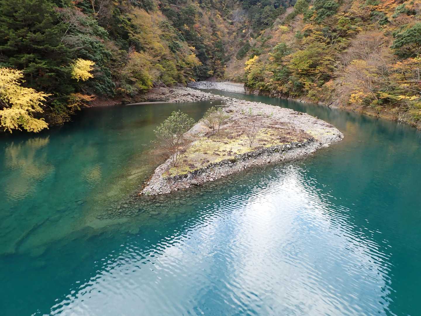 反対側は、この透け感。